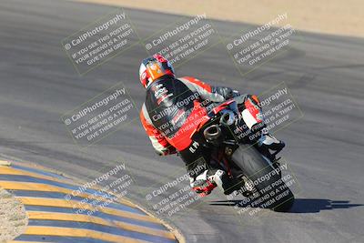 media/Nov-12-2023-SoCal Trackdays (Sun) [[5d1fba4e7d]]/Turn 10 Backside (115pm)/